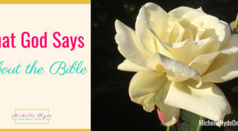 What God Says About the Bible
