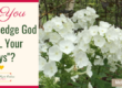 Do You “Acknowledge God in ALL Your Ways”?