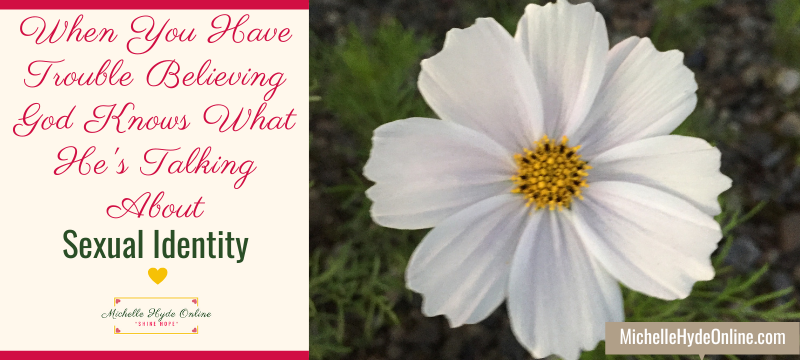 When You Have Trouble Believing God Knows What He's Talking About--Sexual Identity