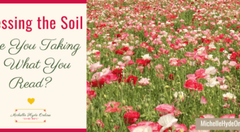 Assessing the Soil--Are You Taking in What You Read?