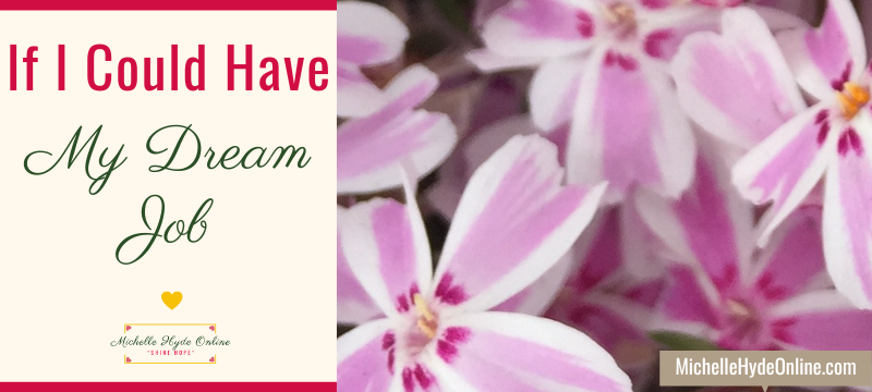 If I Could Have My Dream Job