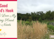 The Good Shepherd’s Hook–The Tough Love My Wandering Heart Really Needs