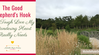 The Good Shepherd's Hook--The Tough Love My Wandering Heart Really Needs