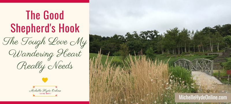 The Good Shepherd's Hook--The Tough Love My Wandering Heart Really Needs
