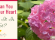 How Can You Make Your Heart What It Is Not?